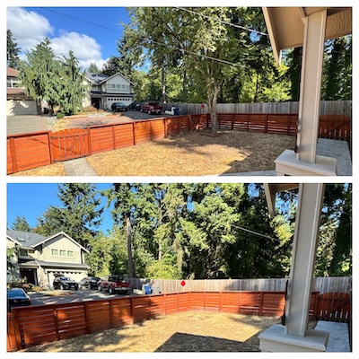 Missing tree comparison